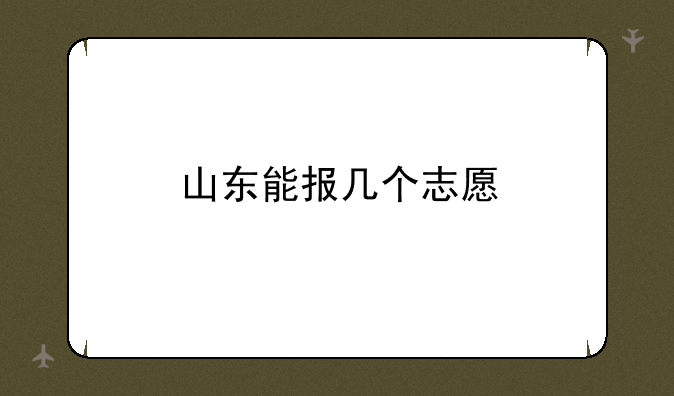 山东能报几个志愿
