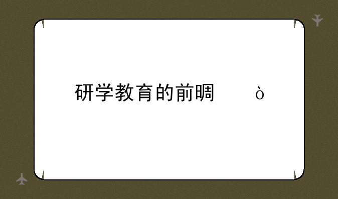 研学教育的前景？