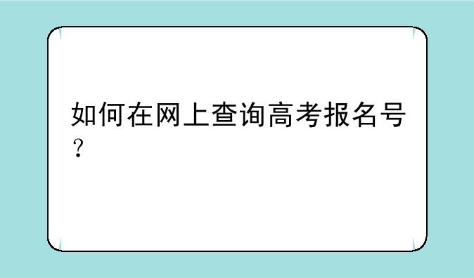 如何在网上查询高考报名号？