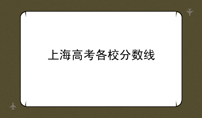 上海高考各校分数线