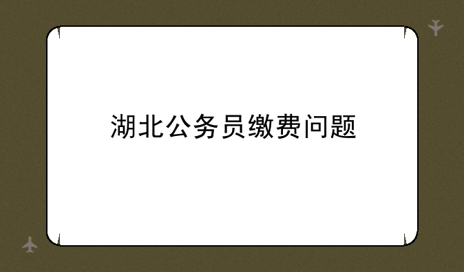 湖北公务员缴费问题