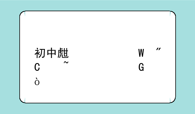 初中生考试成绩查询网？