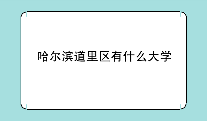 哈尔滨道里区有什么大学